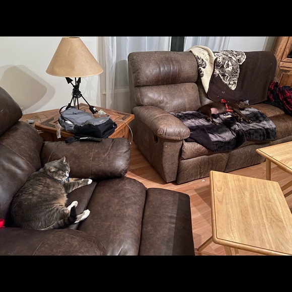 Meet Bailey Part 2 we have 2nd cat—Jaycee pics coming soon. She was my moms - Picture 7 of 16